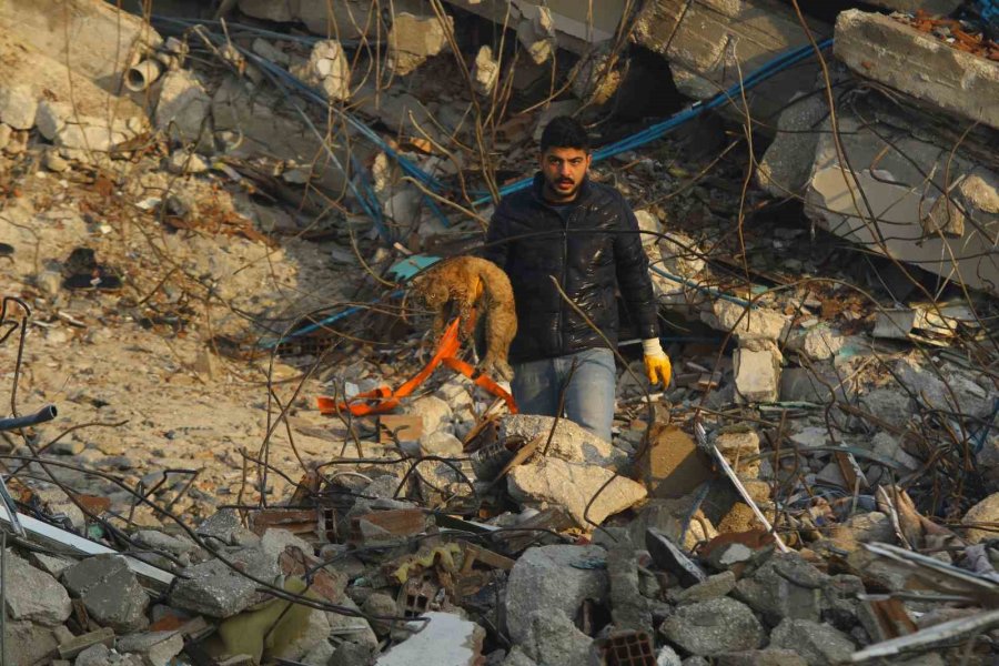 Hatay’da Bu Zor Günlerde Yürek Isıtan Kareler Objektiflere Yansıdı