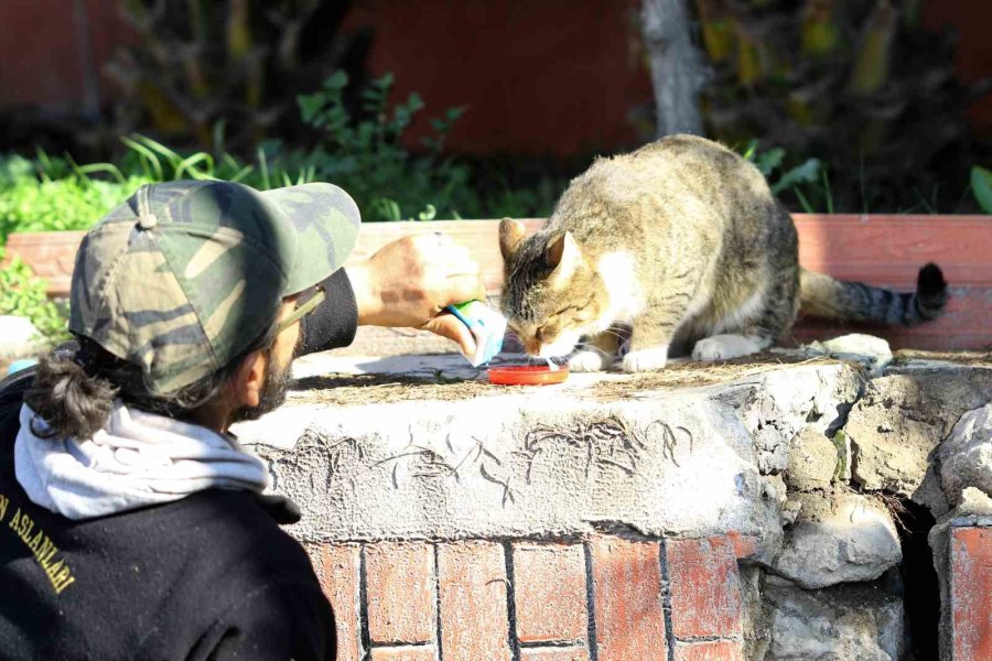 Hatay’da Bu Zor Günlerde Yürek Isıtan Kareler Objektiflere Yansıdı