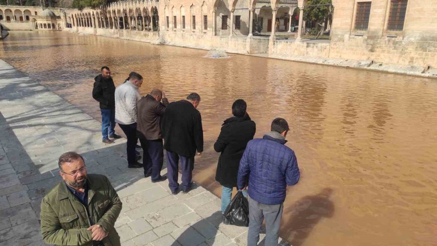 Balıklıgöl Suyu Deprem Sonrası Çamur Rengine Büründü