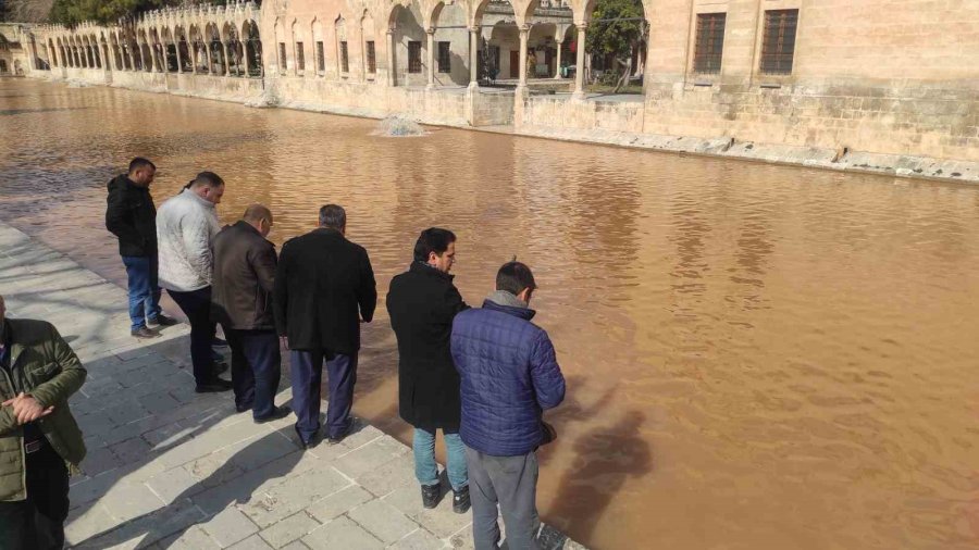 Balıklıgöl Suyu Deprem Sonrası Çamur Rengine Büründü