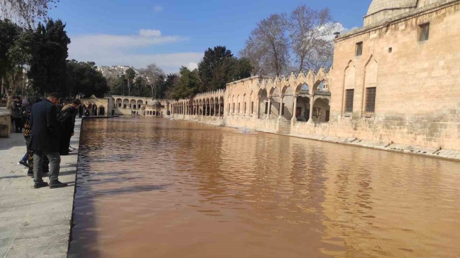 Balıklıgöl Suyu Deprem Sonrası Çamur Rengine Büründü