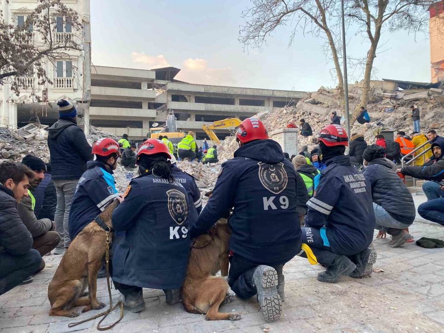 Ankara’nın Kahraman Patileri 28 Kişinin Hayatını Kurtardı