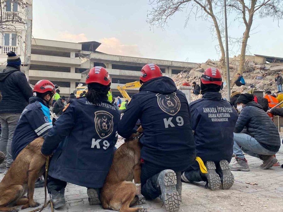 Ankara’nın Kahraman Patileri 28 Kişinin Hayatını Kurtardı