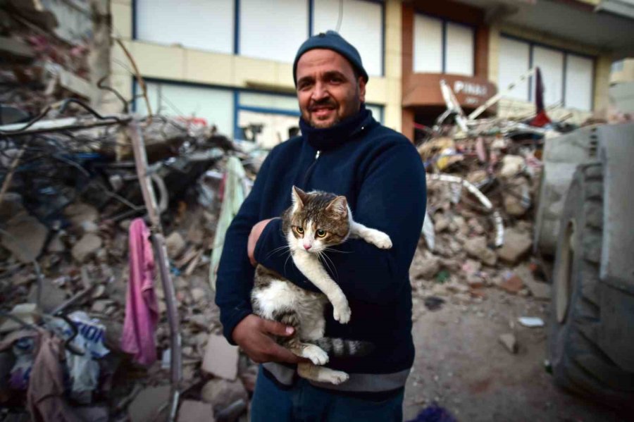 Depreminin 110’uncu Saatinde Bir Kedi Enkazdan Canlı Çıkartıldı