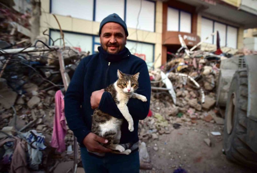 Depreminin 110’uncu Saatinde Bir Kedi Enkazdan Canlı Çıkartıldı