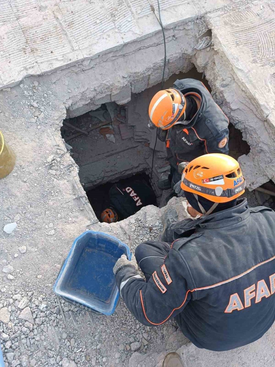 Van Afad Ekipleri Enkaz Altında Sıkışan Kediyi Kurtardı