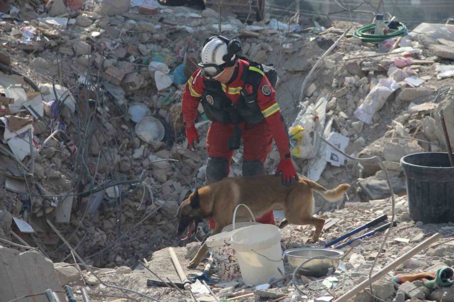 Kahramanmaraş’ta Depremin 7. Gününde Arama Kurtarma Çalışmaları Devam Ediyor