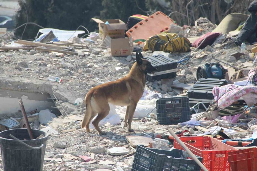 Kahramanmaraş’ta Depremin 7. Gününde Arama Kurtarma Çalışmaları Devam Ediyor