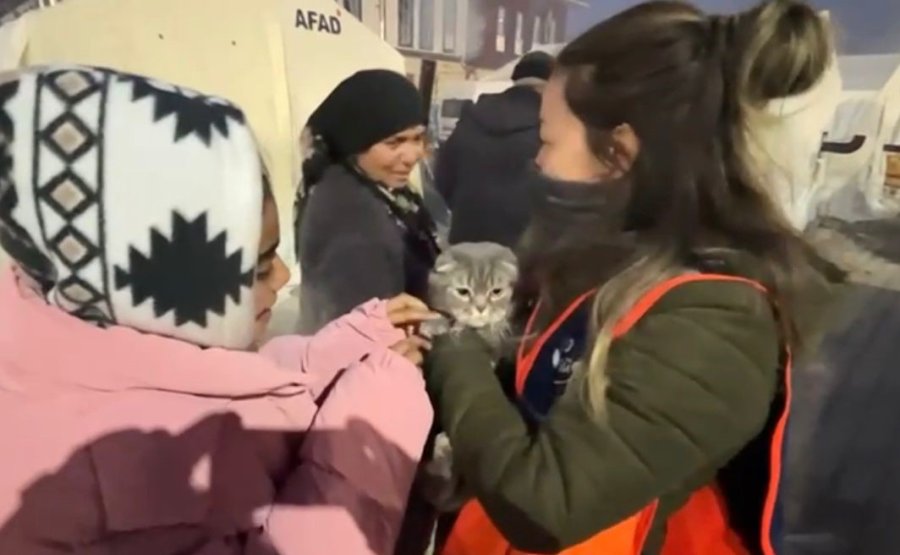 Çadır Kentin Neşesi Oldu: Terk Edilen Kediyi Afad Gönüllüleri Sahiplendi