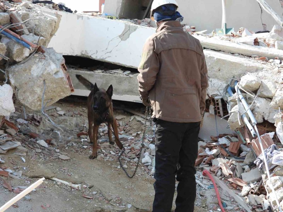 Hasta Olmasına Rağmen "tetik" Hassas Burnu İle 33 Kişinin Kurtarılmasını Sağladı