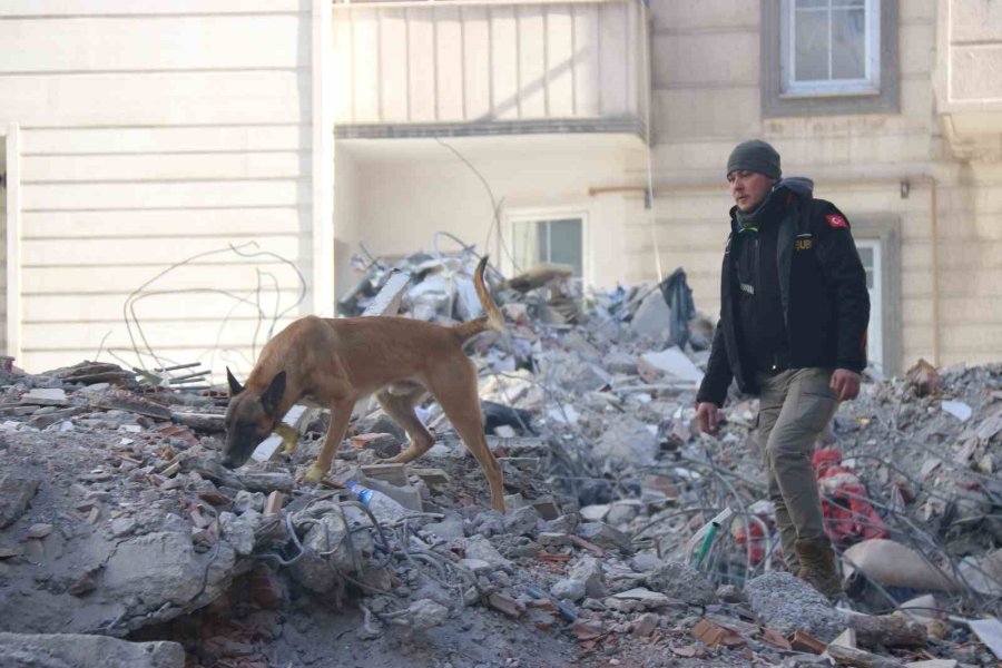 Diyarbakır’da Depremde 7 Sağlık Çalışanı Hayatını Kaybetti