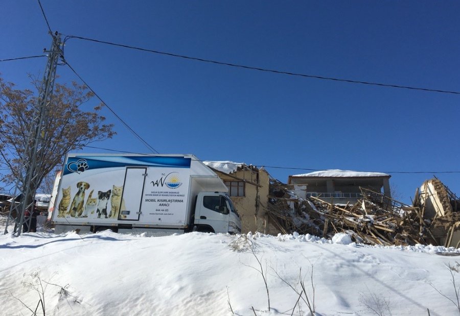 Van Ekibi Deprem Bölgesinde Yaralı Hayvanları Tedavi Ediyor