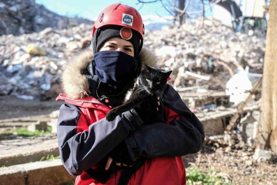 Kahramanmaraş’ta 174 Saat Sonra Enkazdan ‘ardıç’ İsimli Kedi Kurtarıldı