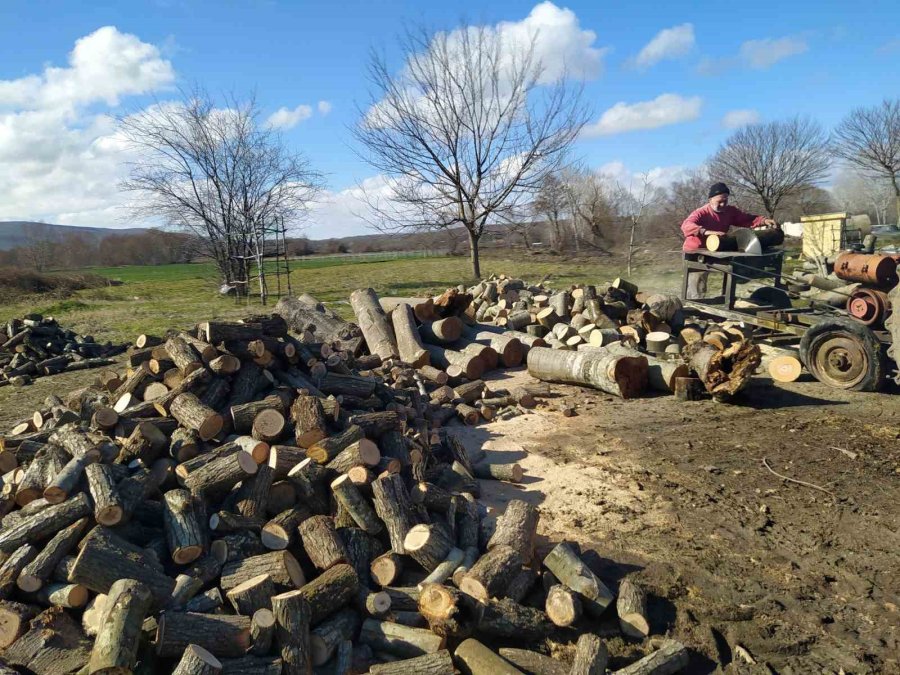 Çatalca’dan Deprem Bölgesine 250 Ton Yakacak Odun Yardımı