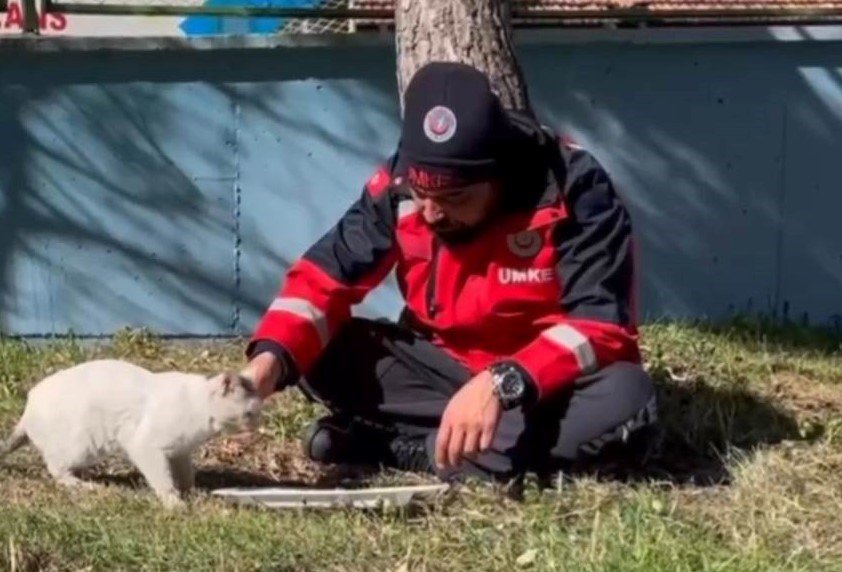 Umke Personeli Yemeğini Kedi İle Paylaştı