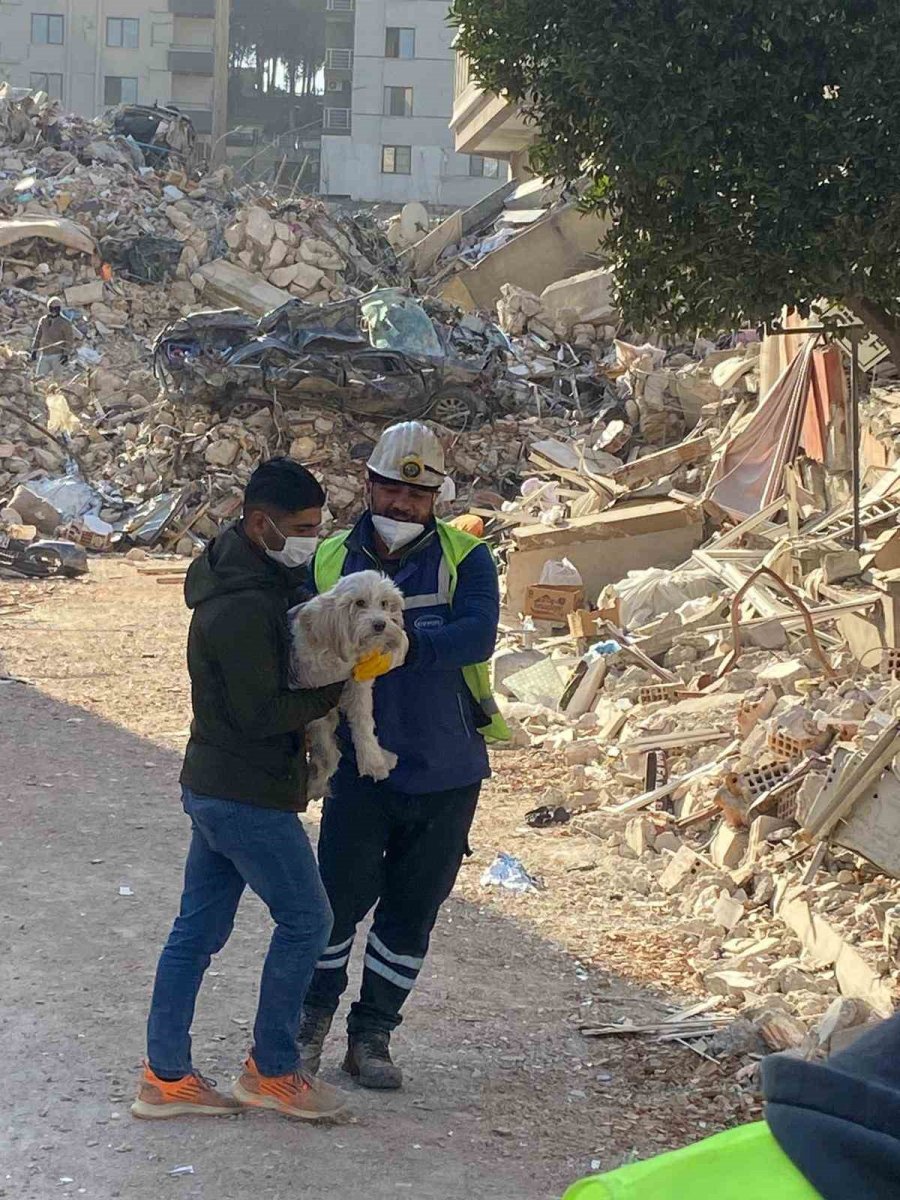 Zonguldaklı Madenciler 203’üncü Saatte Ponti’yi Kurtardı