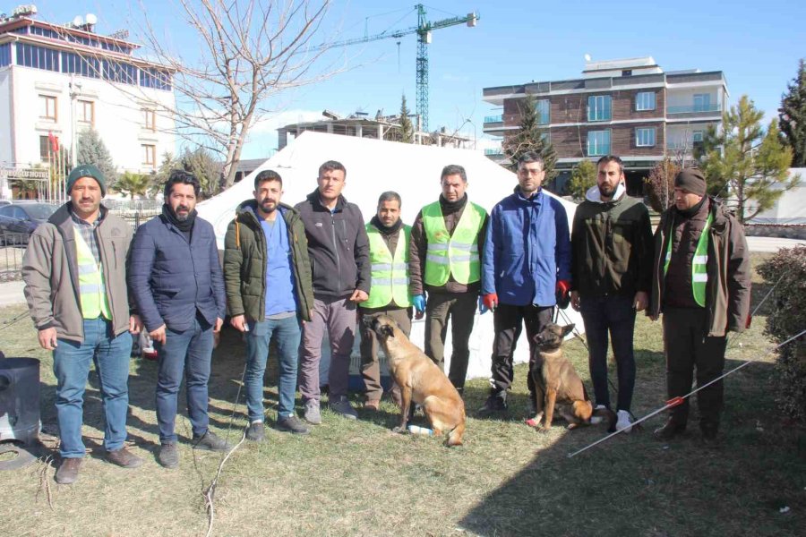 Depremde Yaralanan Hayvanlar İçin Tedavi Merkezi Kuruldu