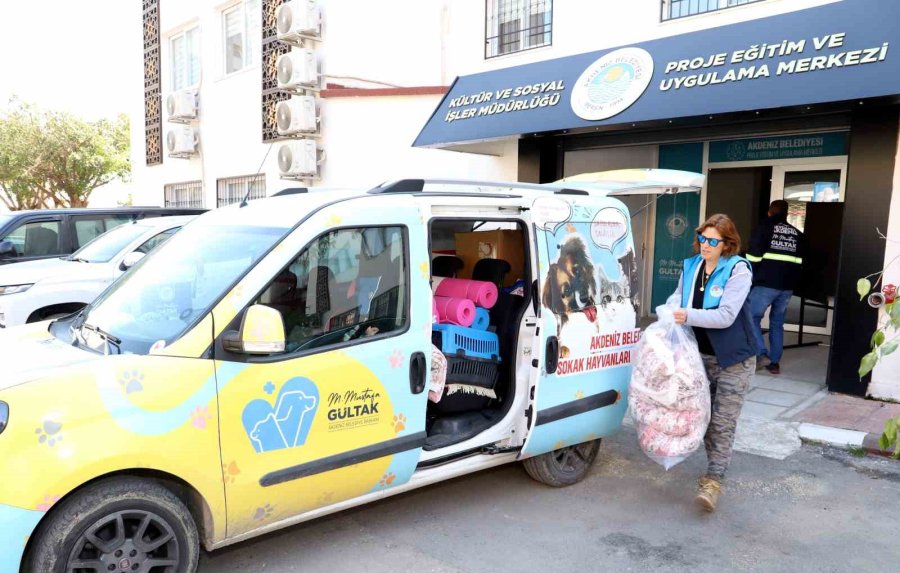 Akdeniz Belediyesi Sokakta Yaşayan Canlıları Da Unutmadı