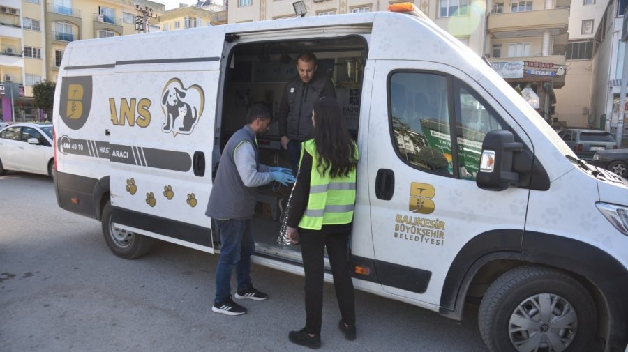 Asrın Felaketinde Sokak Hayvanları Unutulmadı