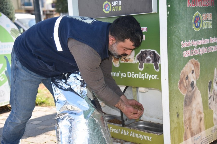 Asrın Felaketinde Sokak Hayvanları Unutulmadı