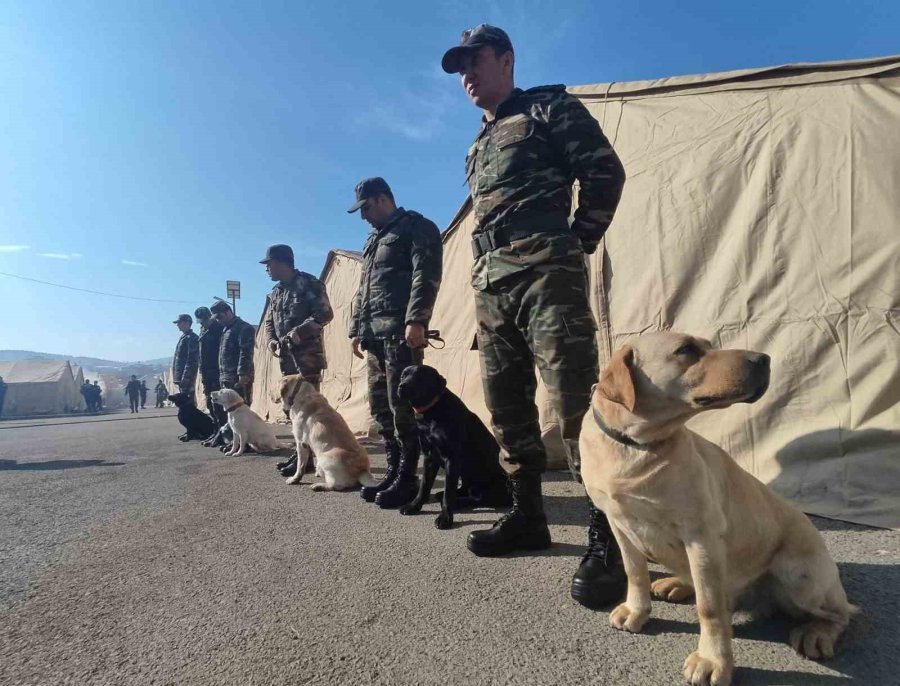 Azerbaycan’ın ’hassas Burunlu’ Arama Kurtarma Köpekleri Deprem Bölgesinde