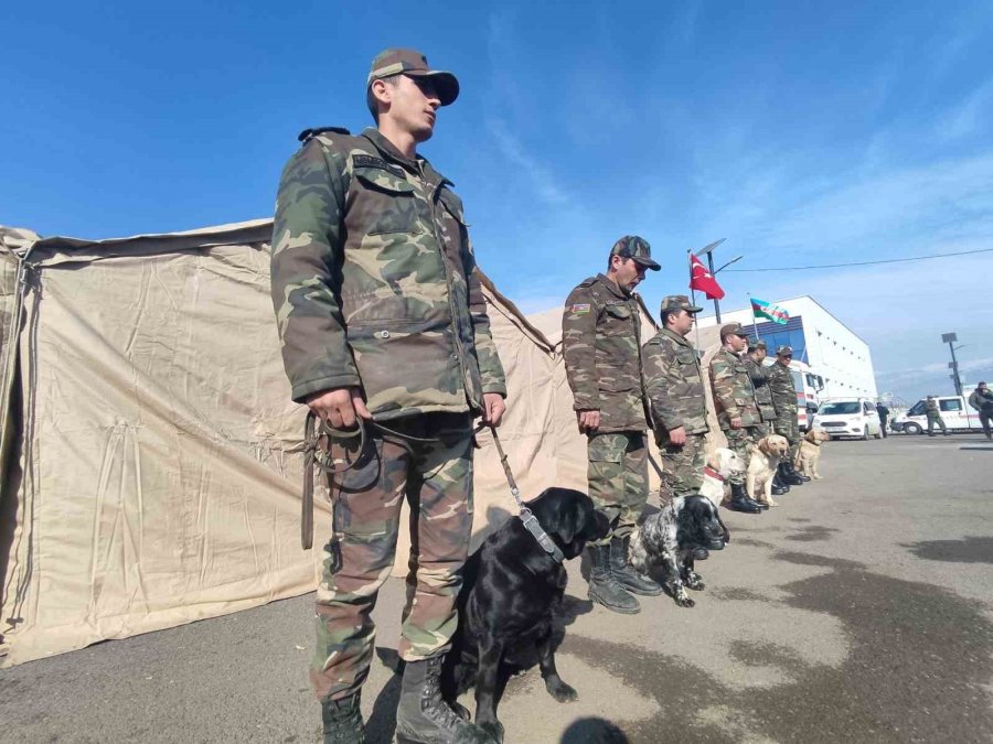 Azerbaycan’ın ’hassas Burunlu’ Arama Kurtarma Köpekleri Deprem Bölgesinde