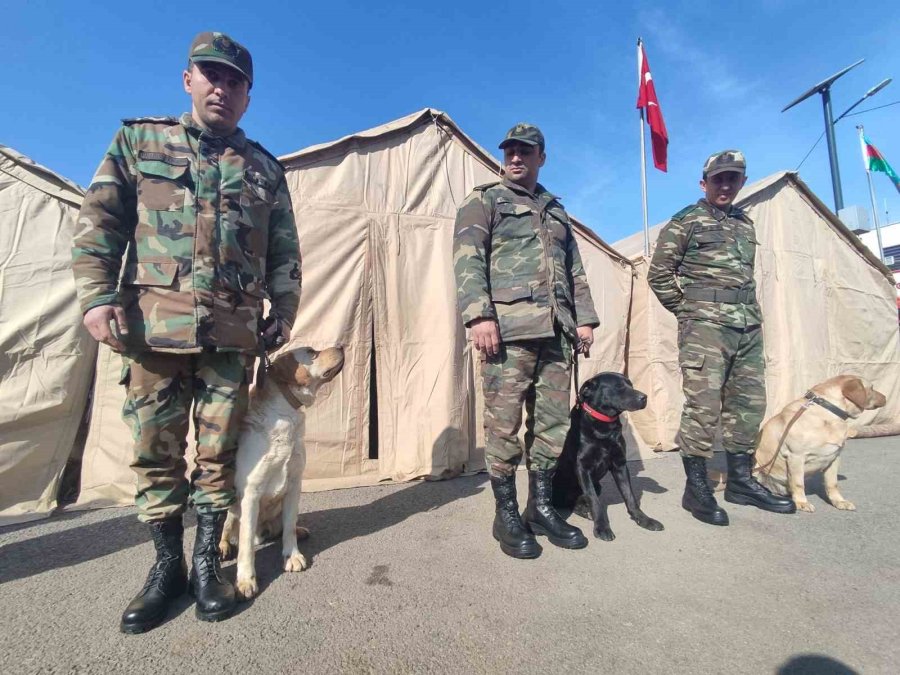 Azerbaycan’ın ’hassas Burunlu’ Arama Kurtarma Köpekleri Deprem Bölgesinde