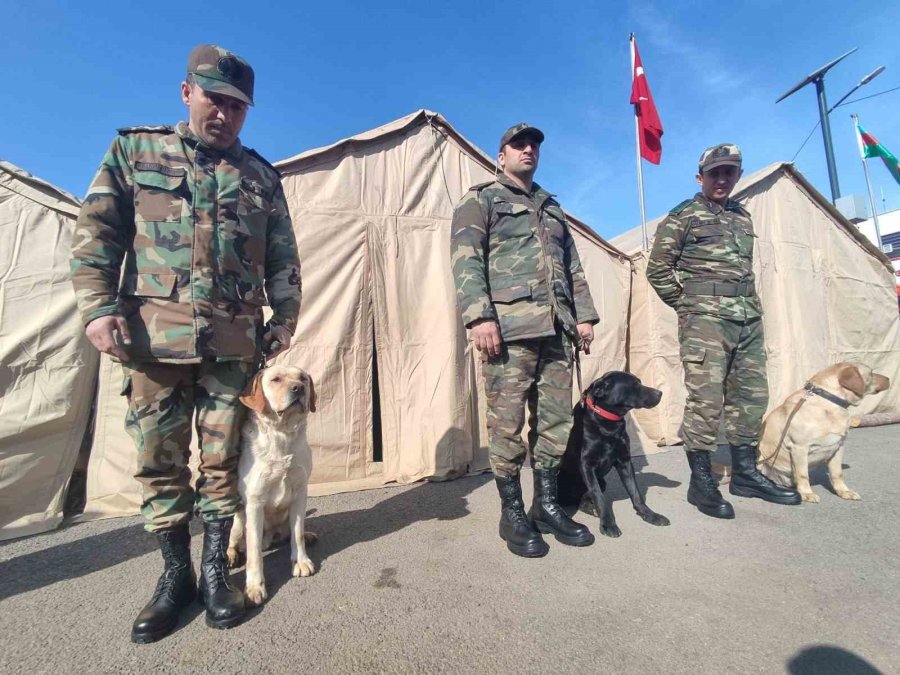 Azerbaycan’ın ’hassas Burunlu’ Arama Kurtarma Köpekleri Deprem Bölgesinde