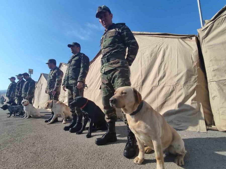 Azerbaycan’ın ’hassas Burunlu’ Arama Kurtarma Köpekleri Deprem Bölgesinde