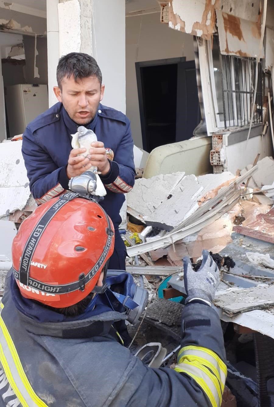 Konya Büyükşehir Belediyesinin Kahraman İtfaiyecileri Hayatlarını Riske Atıp Güvercinleri Kurtardı