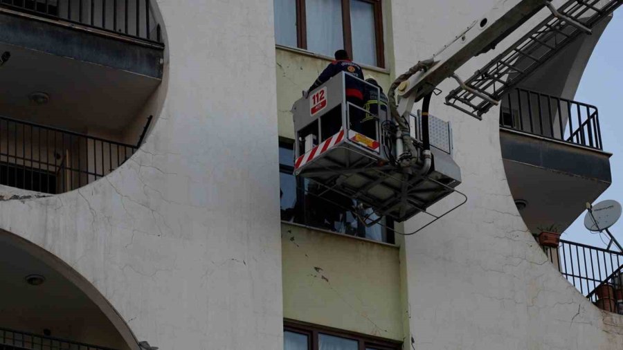 Galeria Sitesinde Mahsur Kalan Hayvanlara İlişkin Açıklama