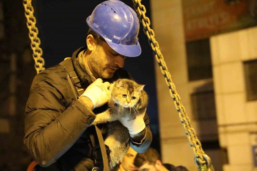 Bina Enkazının Yıkımı Durduruldu, "zena" İsimli Kedi Kurtarıldı