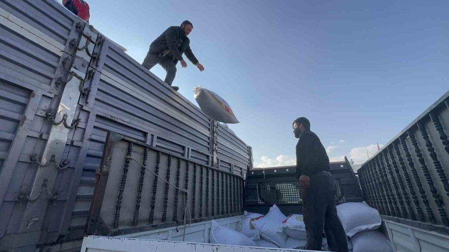 Konya Büyükşehir’den Hatay’daki Hayvan Üreticilerine 10 Tır Yem Desteği