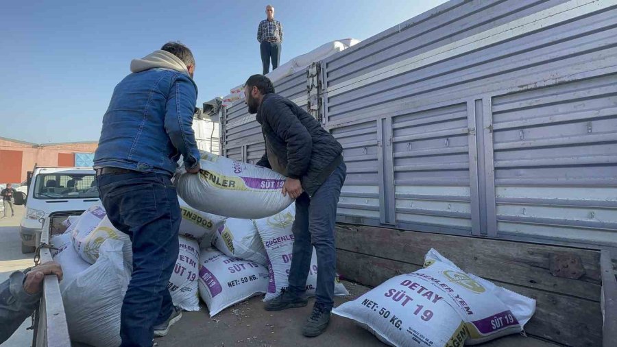 Konya Büyükşehir’den Hatay’daki Hayvan Üreticilerine 10 Tır Yem Desteği