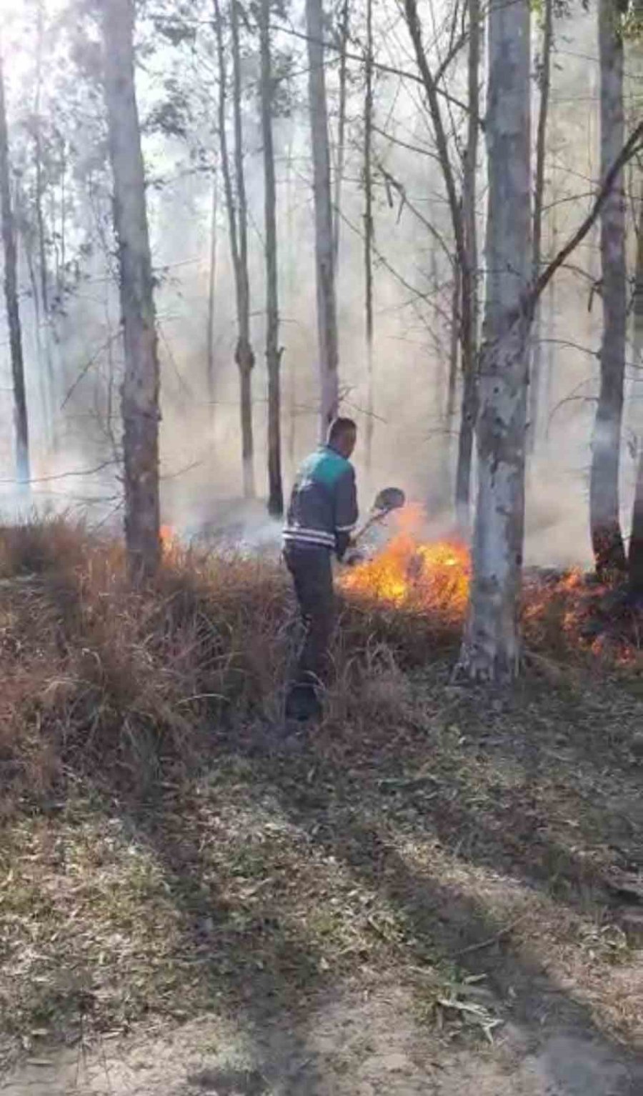 Ormanlık Alanda Çıkan Yangın Söndürüldü