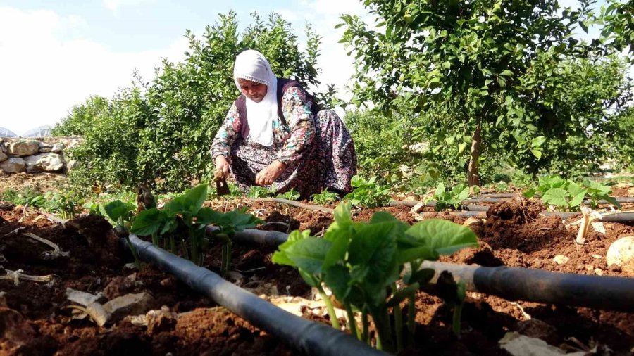 20 Yılda Biriktirdiği Umre Parasını Depremzedeler İçin Bağışladı