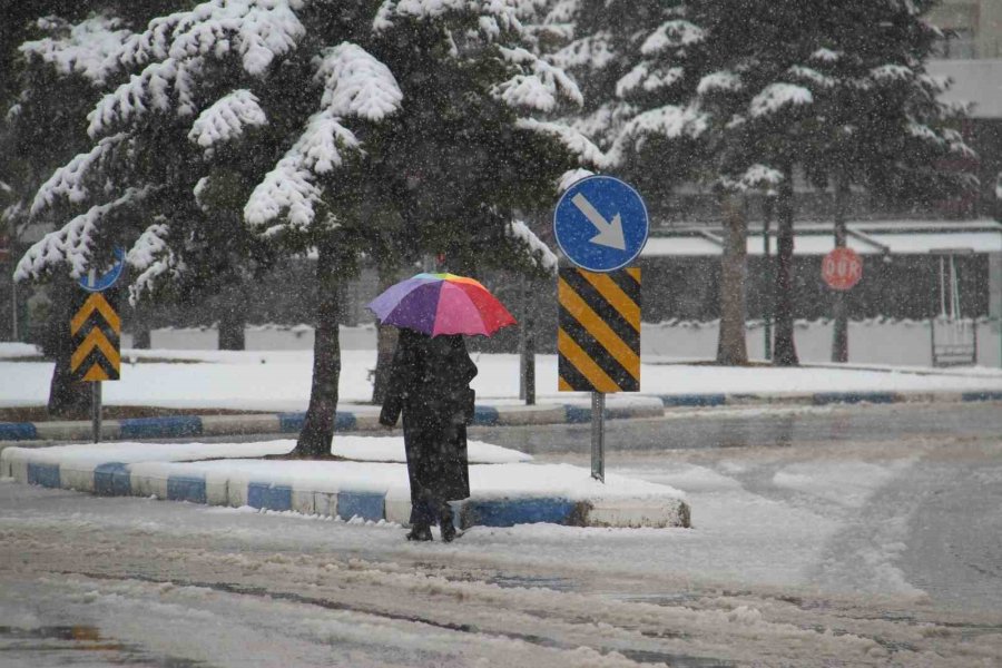 Dağlarda Beyaz Bereket