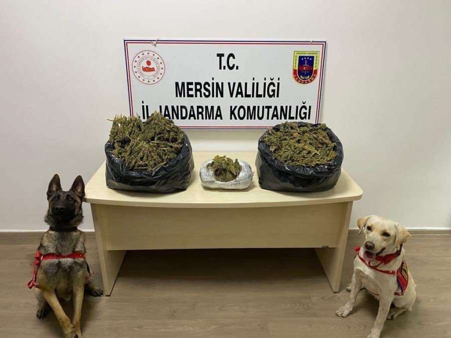 Mersin’de Uyuşturucu Operasyonu: 2 Gözaltı