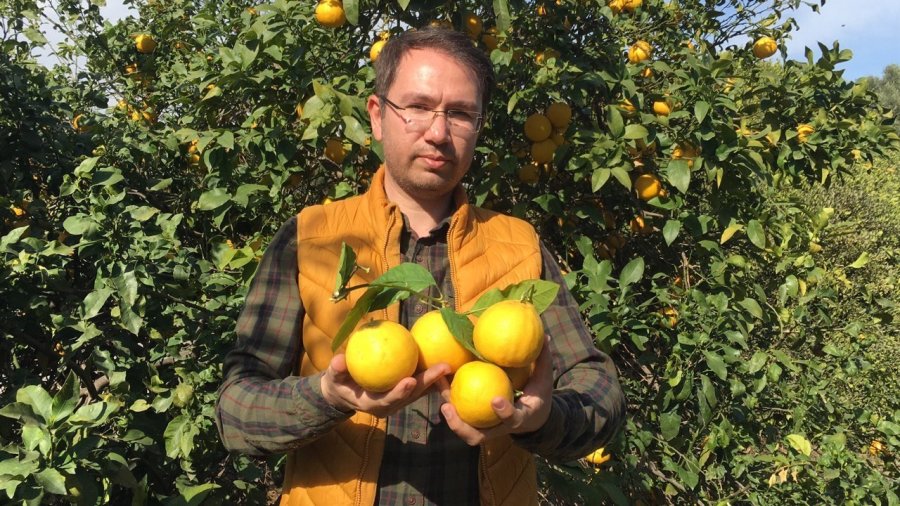 1 Kiloyu Geçen Sıra Dışı Büyüklükte Bergamot Yetiştirdi