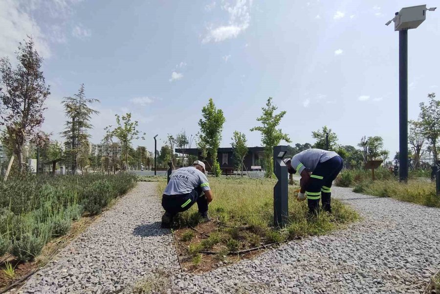 Akdeniz’de Park, Bahçe Ve Yeşil Alanlar Yenileniyor