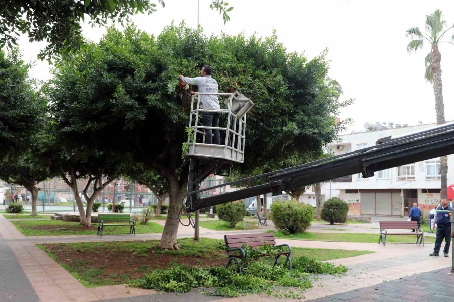 Akdeniz’de Park, Bahçe Ve Yeşil Alanlar Yenileniyor