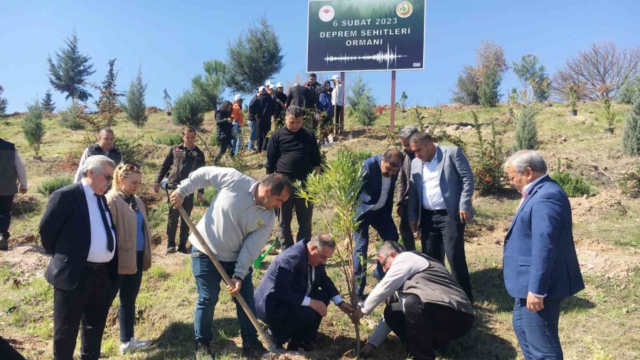 Erdemli’de Deprem Şehitleri Hatıra Ormanına İlk Fidanlar Dikildi