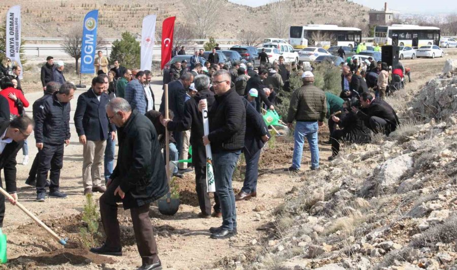 Konya’da Deprem Şehitleri Hatıra Ormanı Kuruldu