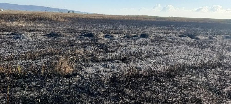 ’kuş Cenneti’ndeki Yangınlar Çevrecileri Endişelendiriyor