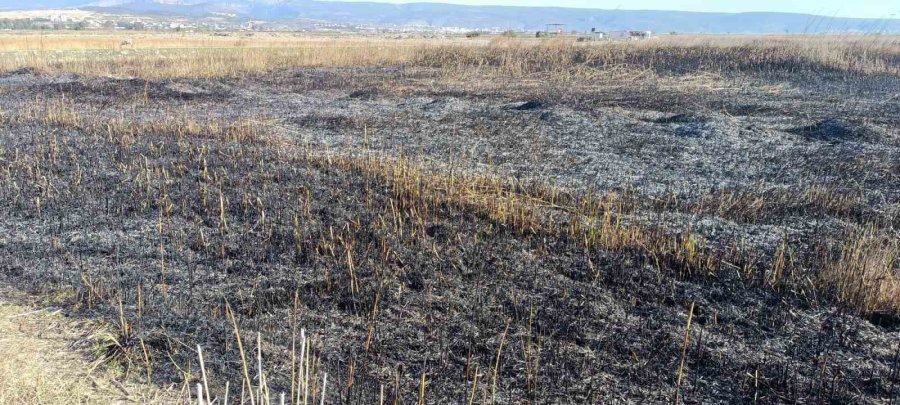 Koruma Altındaki Göksu Deltası’nda Çıkan Yangın Kendiliğinden Söndü