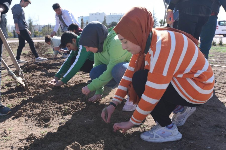 Karatay Belediyesinden “lavanta Kokulu Okullar” Projesi