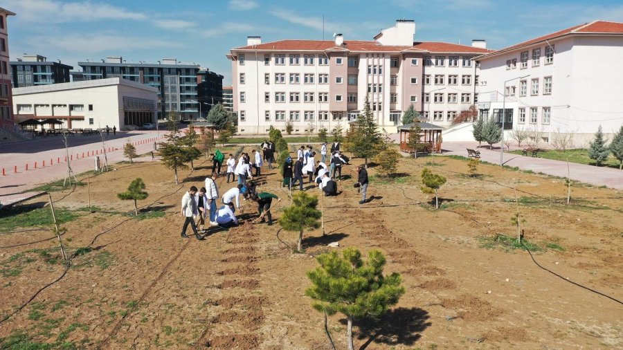 Karatay Belediyesinden “lavanta Kokulu Okullar” Projesi