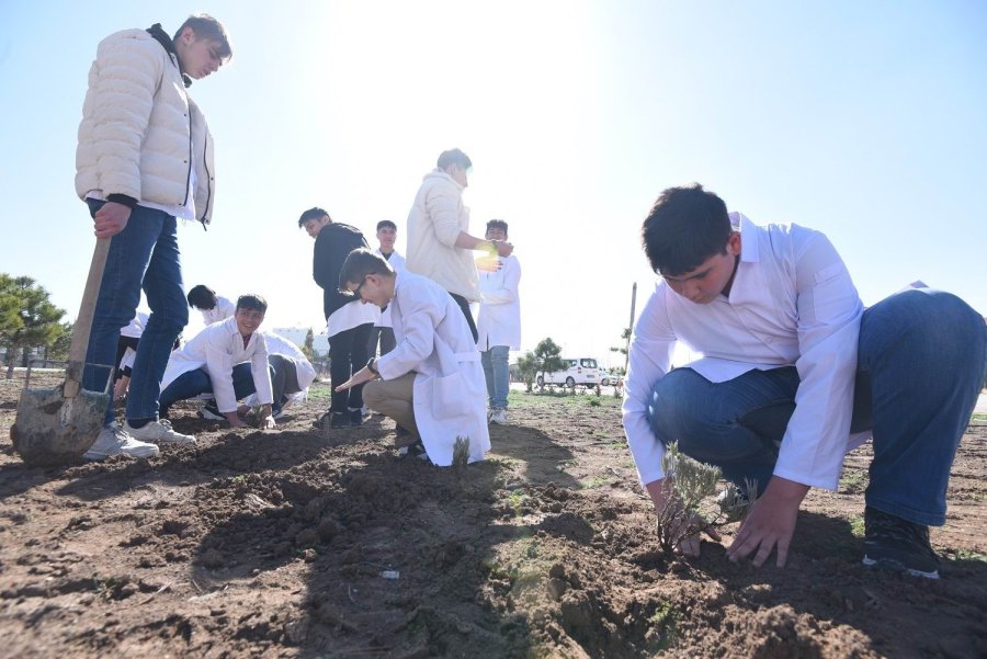 Karatay Belediyesinden “lavanta Kokulu Okullar” Projesi