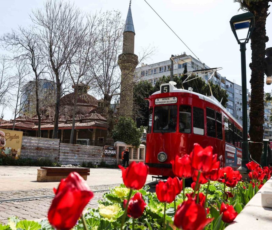 Antalya Rengârenk Lalelerle Süslendi