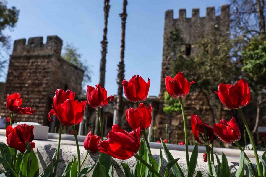 Antalya Rengârenk Lalelerle Süslendi